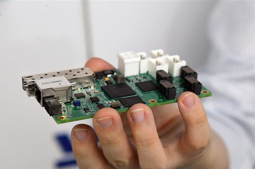 北京城市副中心東南生態(tài)門戶景觀正式開放，智慧化信息系統(tǒng)集成服務(wù)提升游園體驗(yàn)